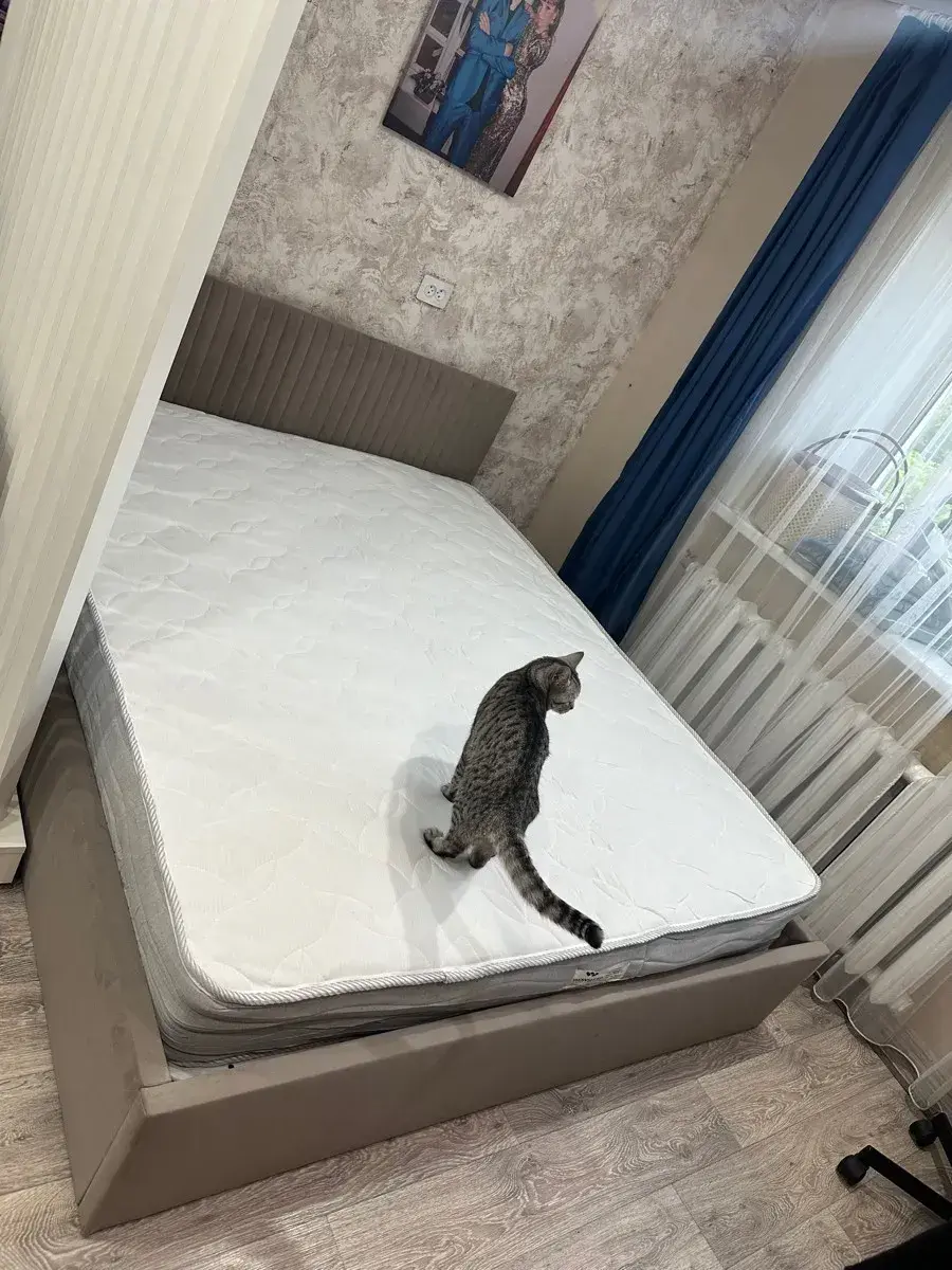 Фото отзыва — Кровати Grace, Valentino, Alma, Максим К.